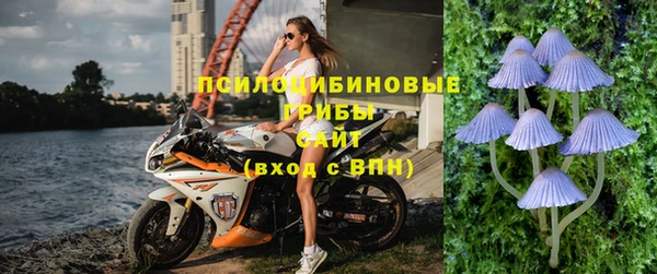 соль ск Няндома