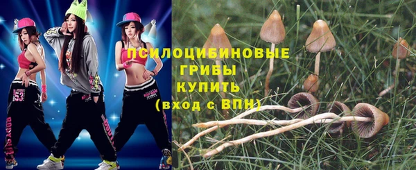 apvp Нягань